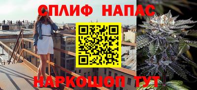 кокс Донской