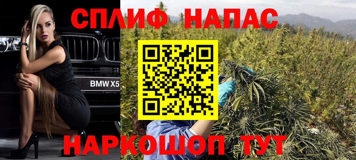 Конопля конопля Коркино